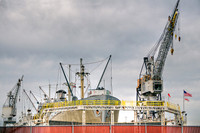 _DSC4546-Monday-1-30-2012
