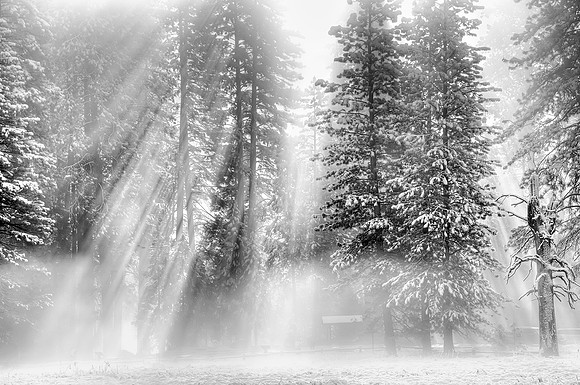 Y4-Yosemite-Valley-Nov.-2011