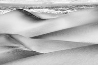 _DSC2825