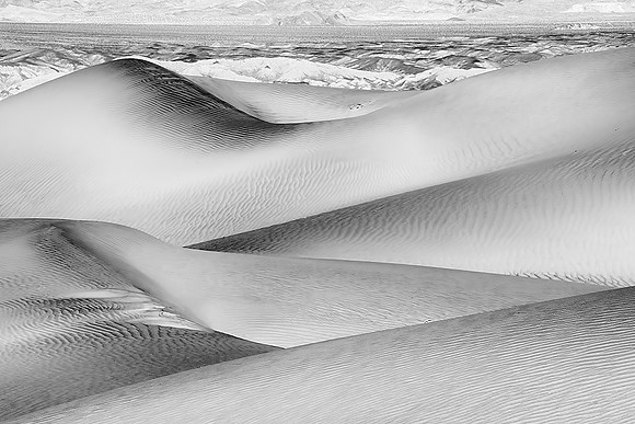 _DSC2825