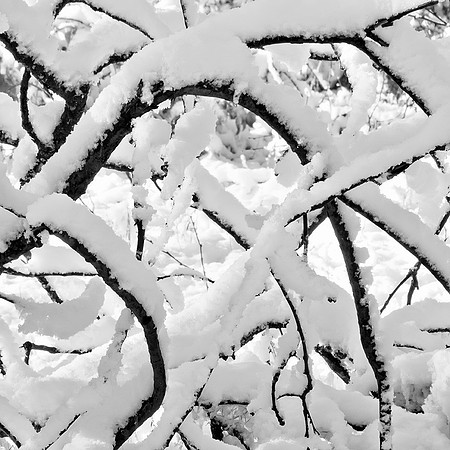 Y10-Snow-Curves