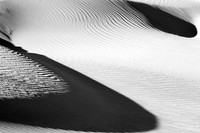 _DSC2810