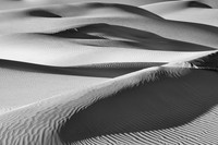 _DSC2859