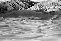 _DSC2891