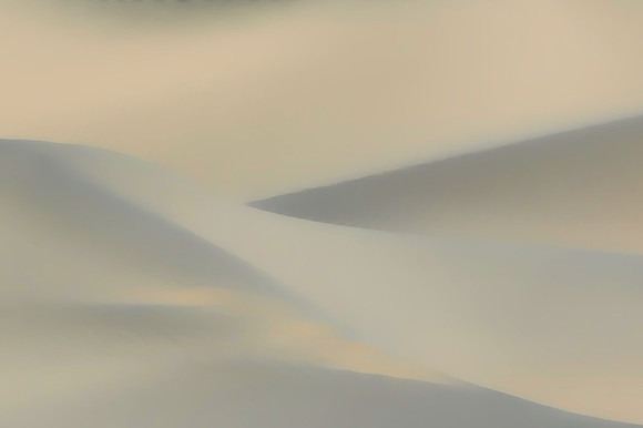 _DSC2851