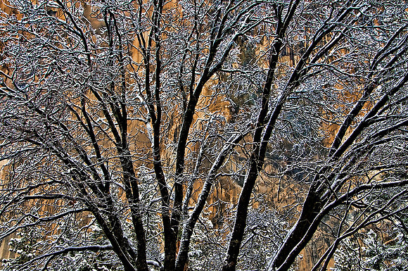 Y36-Yosemite-Valley-Snow