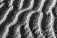 _DSC2867