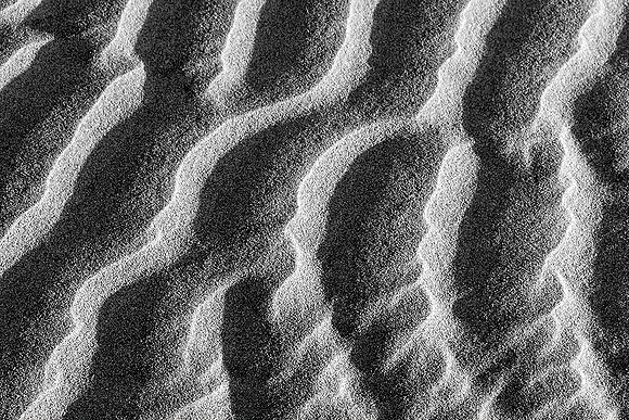 _DSC2867