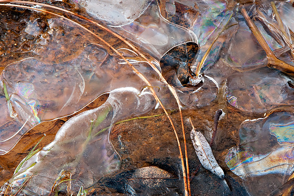 Y21-Ice-in-Yosemite-Valley