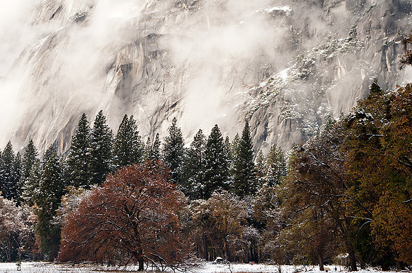 Y53-Snow-in-Yosemite-Valley