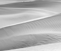 _DSC2888