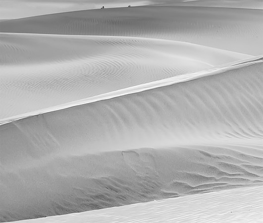 _DSC2888