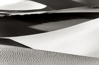 _DSC2843