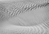 _DSC2900