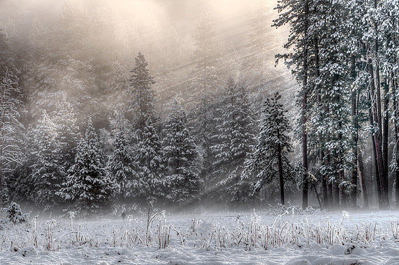Y6-First-Light,-Yosemite-Valley