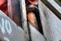 _DSC4696_Looking-inside-Starboard-Aft