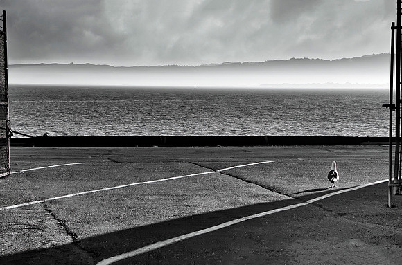 014 m227 _DSC6813 Freedom