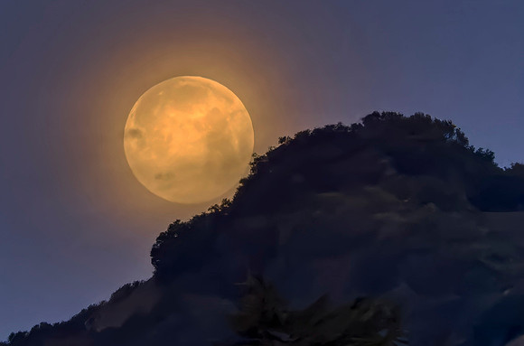 012 s764 20250212 full moon sideyard 0646_DSF3949